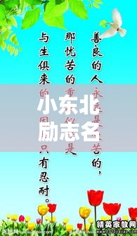 小東北勵志名言，激發(fā)無限潛能的短句