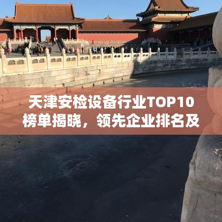 天津安檢設(shè)備行業(yè)TOP10榜單揭曉，領(lǐng)先企業(yè)排名及優(yōu)勢(shì)一網(wǎng)打盡！