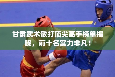 甘肅武術(shù)散打頂尖高手榜單揭曉，前十名實(shí)力非凡！