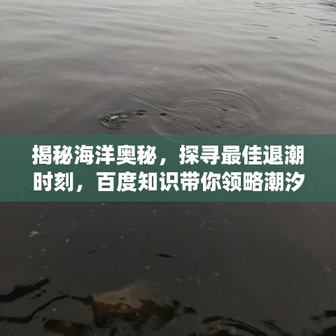 揭秘海洋奧秘，探尋最佳退潮時刻，百度知識帶你領(lǐng)略潮汐魅力