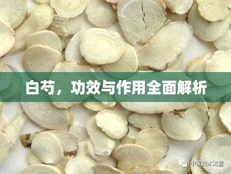 白芍，功效與作用全面解析