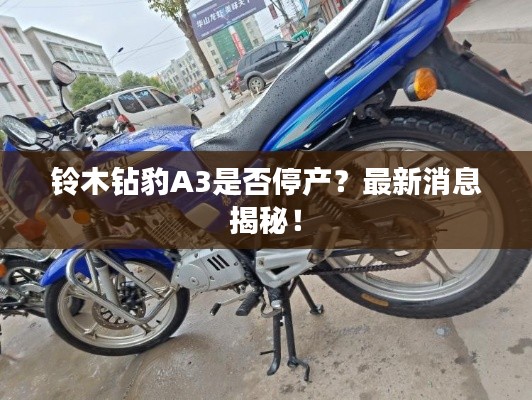鈴木鉆豹A3是否停產(chǎn)？最新消息揭秘！