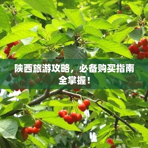 陜西旅游攻略，必備購(gòu)買指南全掌握！