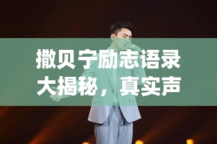 撒貝寧勵志語錄大揭秘，真實聲音，激勵人心