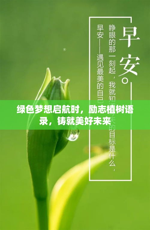 綠色夢(mèng)想啟航時(shí)，勵(lì)志植樹語錄，鑄就美好未來