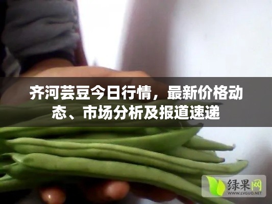 齊河蕓豆今日行情，最新價(jià)格動(dòng)態(tài)、市場(chǎng)分析及報(bào)道速遞