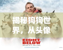 揭秘狗狗世界，從頭像圖片開啟的奇妙探險之旅