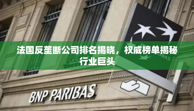 法國(guó)反壟斷公司排名揭曉，權(quán)威榜單揭秘行業(yè)巨頭