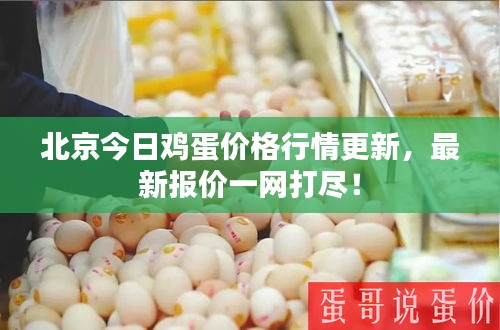 北京今日雞蛋價(jià)格行情更新，最新報(bào)價(jià)一網(wǎng)打盡！