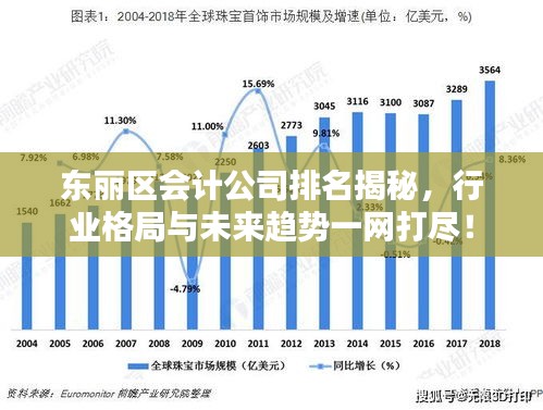 東麗區(qū)會計公司排名揭秘，行業(yè)格局與未來趨勢一網打盡！