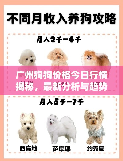 廣州狗狗價格今日行情揭秘，最新分析與趨勢預(yù)測
