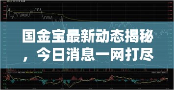 國(guó)金寶最新動(dòng)態(tài)揭秘，今日消息一網(wǎng)打盡