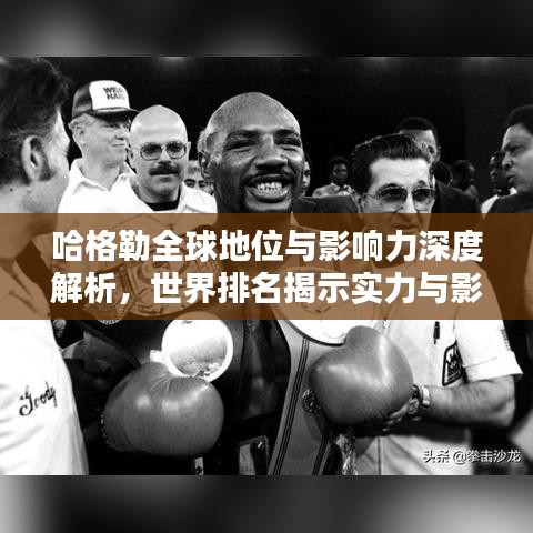哈格勒全球地位與影響力深度解析，世界排名揭示實(shí)力與影響力