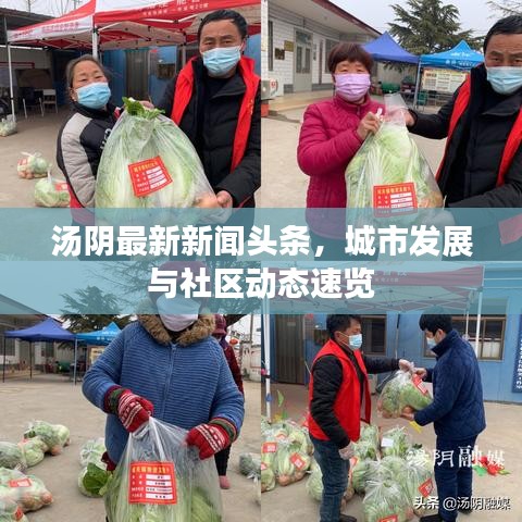 湯陰最新新聞?lì)^條，城市發(fā)展與社區(qū)動(dòng)態(tài)速覽