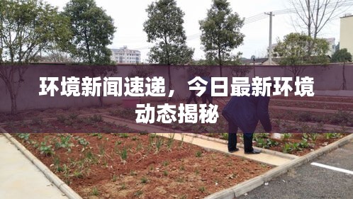 環(huán)境新聞速遞，今日最新環(huán)境動態(tài)揭秘