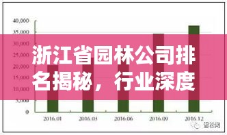 浙江省園林公司排名揭秘，行業(yè)深度分析與評估