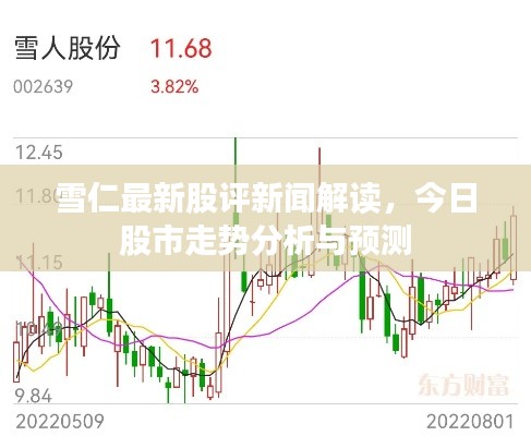 雪仁最新股評新聞解讀，今日股市走勢分析與預測
