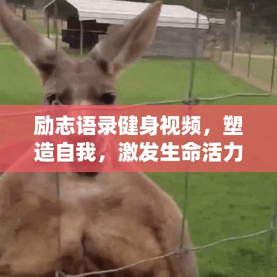 勵(lì)志語(yǔ)錄健身視頻，塑造自我，激發(fā)生命活力