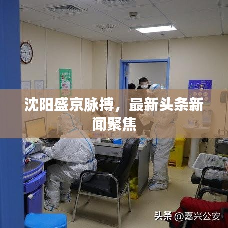 沈陽盛京脈搏，最新頭條新聞聚焦