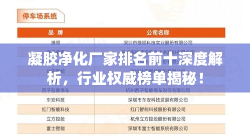 凝膠凈化廠家排名前十深度解析，行業(yè)權(quán)威榜單揭秘！