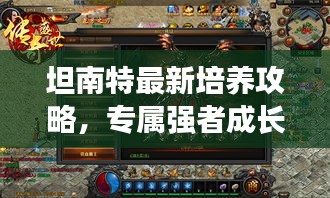 坦南特最新培養(yǎng)攻略，專屬強者成長之路揭秘