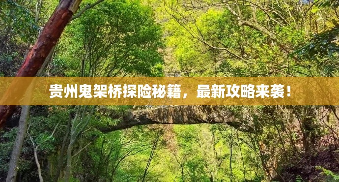 貴州鬼架橋探險(xiǎn)秘籍，最新攻略來(lái)襲！