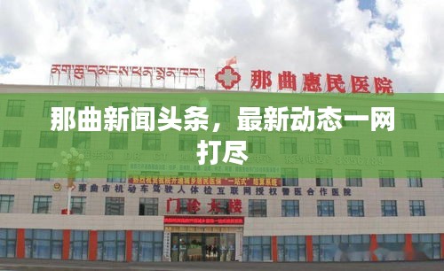 那曲新聞?lì)^條，最新動(dòng)態(tài)一網(wǎng)打盡