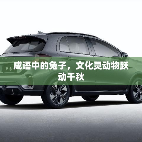 成語中的兔子，文化靈動物躍動千秋