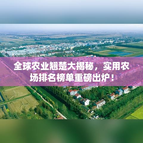 全球農(nóng)業(yè)翹楚大揭秘，實(shí)用農(nóng)場(chǎng)排名榜單重磅出爐！