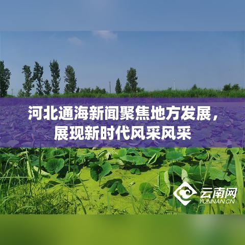 河北通海新聞聚焦地方發(fā)展，展現(xiàn)新時(shí)代風(fēng)采風(fēng)采