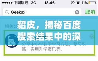 貂皮，揭秘百度搜索結(jié)果中的深度解讀