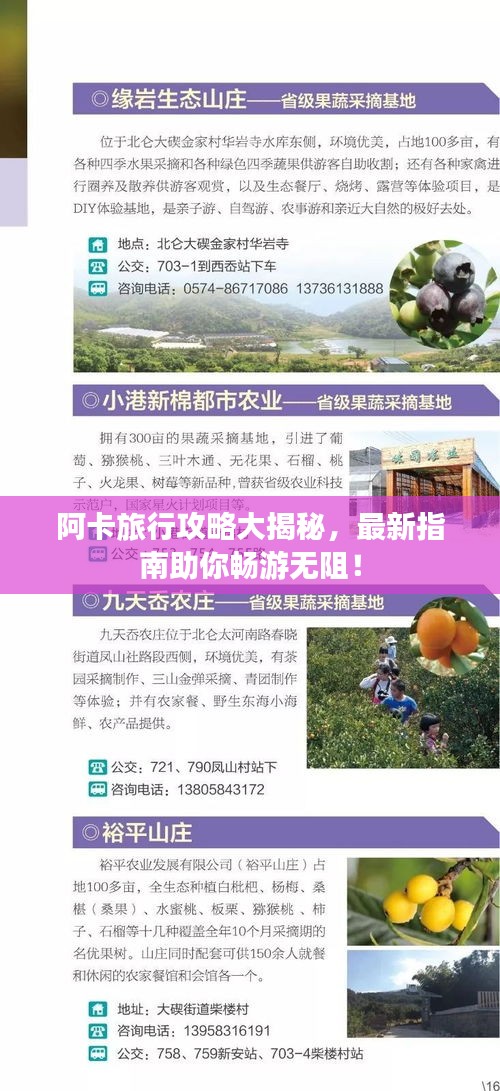 阿卡旅行攻略大揭秘，最新指南助你暢游無阻！