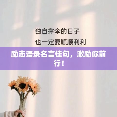 勵(lì)志語(yǔ)錄名言佳句，激勵(lì)你前行！