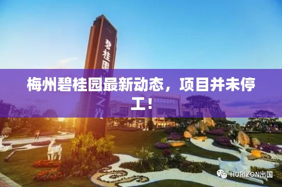 梅州碧桂園最新動(dòng)態(tài)，項(xiàng)目并未停工！