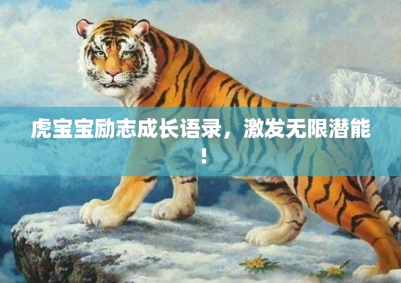 虎寶寶勵志成長語錄，激發(fā)無限潛能！
