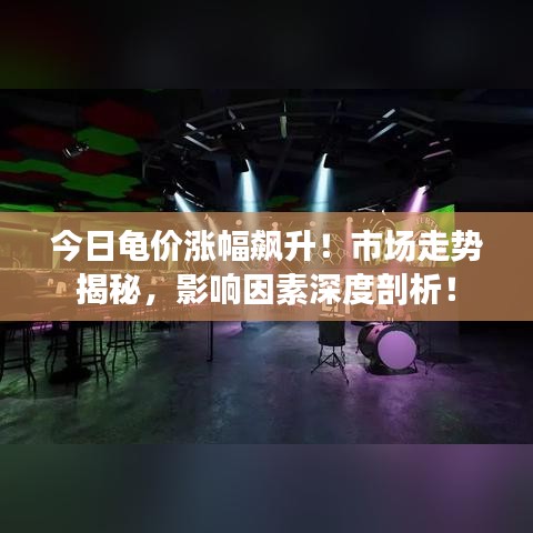 今日龜價漲幅飆升！市場走勢揭秘，影響因素深度剖析！