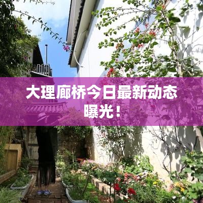 大理廊橋今日最新動(dòng)態(tài)曝光！