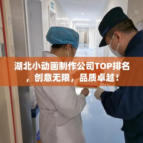 湖北小動(dòng)畫(huà)制作公司TOP排名，創(chuàng)意無(wú)限，品質(zhì)卓越！