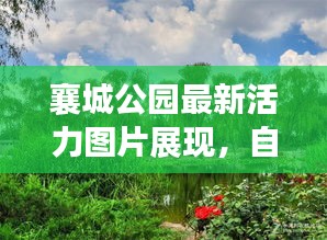 襄城公園最新活力圖片展現(xiàn)，自然盛景下的生機(jī)勃勃景象！
