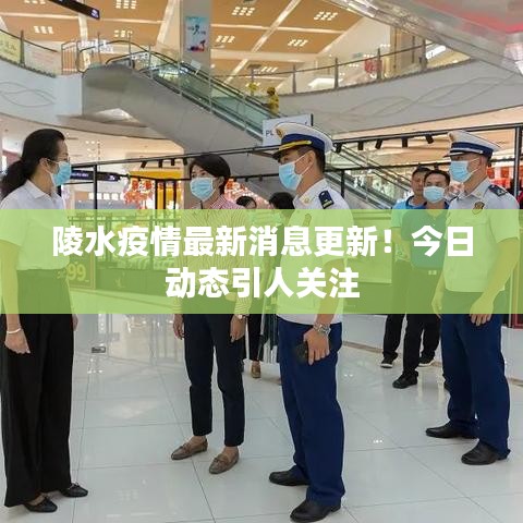 陵水疫情最新消息更新！今日動態(tài)引人關注