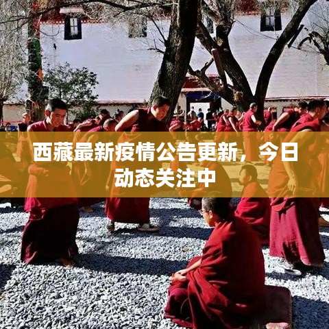 西藏最新疫情公告更新，今日動(dòng)態(tài)關(guān)注中