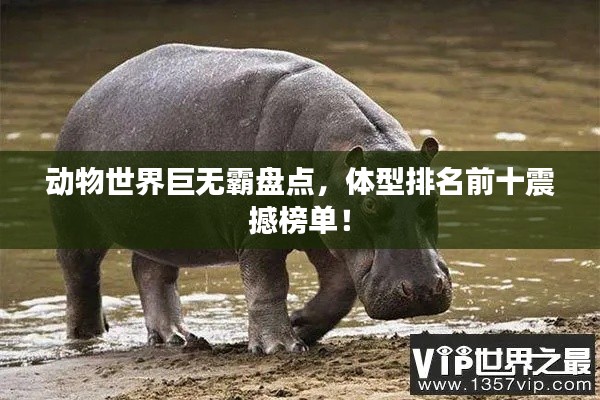 動物世界巨無霸盤點，體型排名前十震撼榜單！