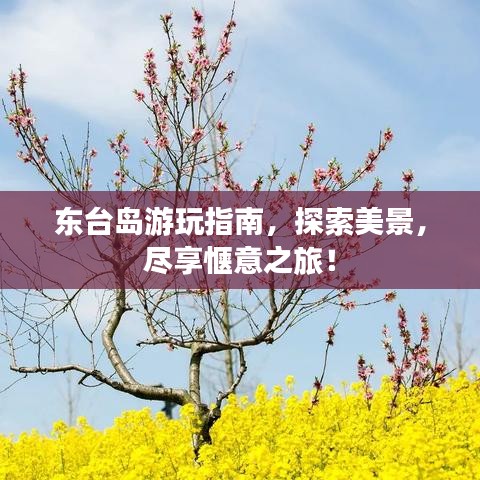 東臺(tái)島游玩指南，探索美景，盡享愜意之旅！