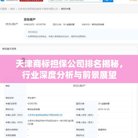 天津商標(biāo)擔(dān)保公司排名揭秘，行業(yè)深度分析與前景展望
