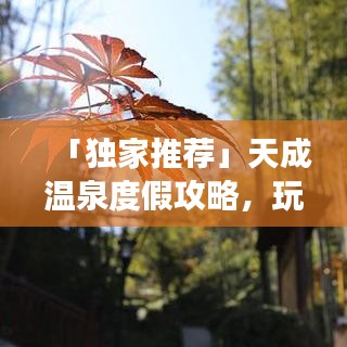 「獨家推薦」天成溫泉度假攻略，玩轉(zhuǎn)溫泉勝地，盡享舒適之旅！