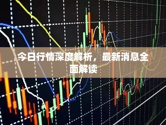 今日行情深度解析，最新消息全面解讀