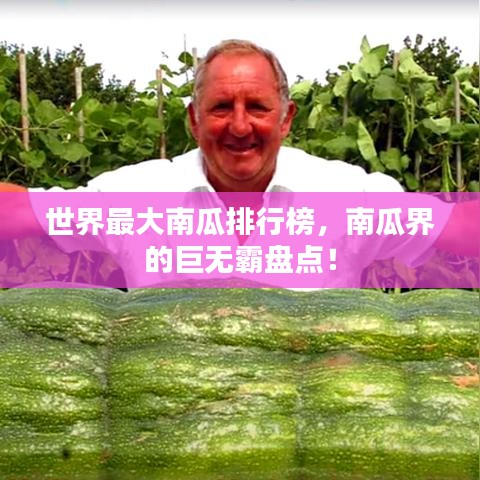 世界最大南瓜排行榜，南瓜界的巨無霸盤點(diǎn)！