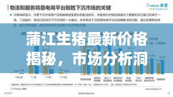 蒲江生豬最新價(jià)格揭秘，市場(chǎng)分析洞察與趨勢(shì)預(yù)測(cè)