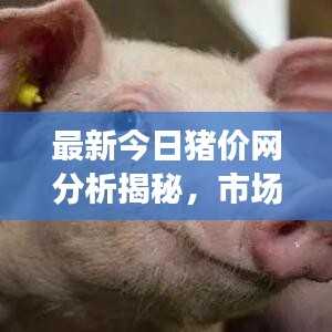 風(fēng)華絕代 第2頁