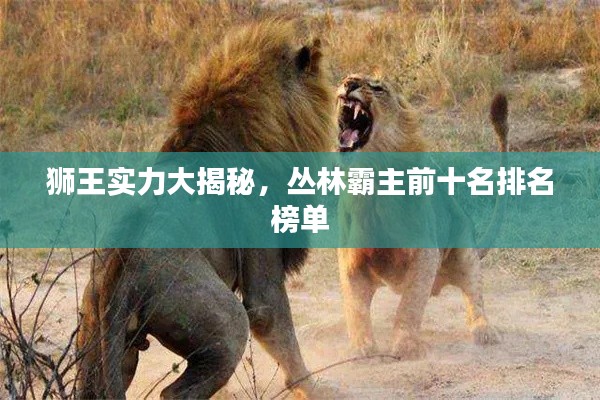 獅王實(shí)力大揭秘，叢林霸主前十名排名榜單